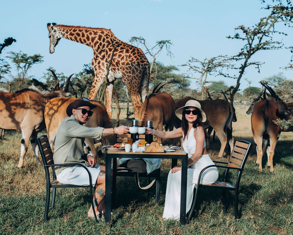 Couple toasting at a bush breakfast table as a giraffe browses behind them