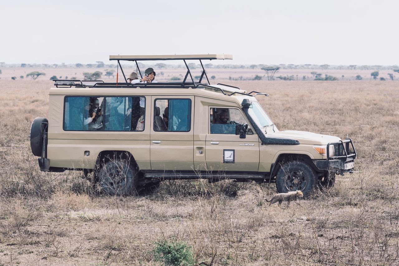 Side view of a cream safari Land Cruiser in dry grassland