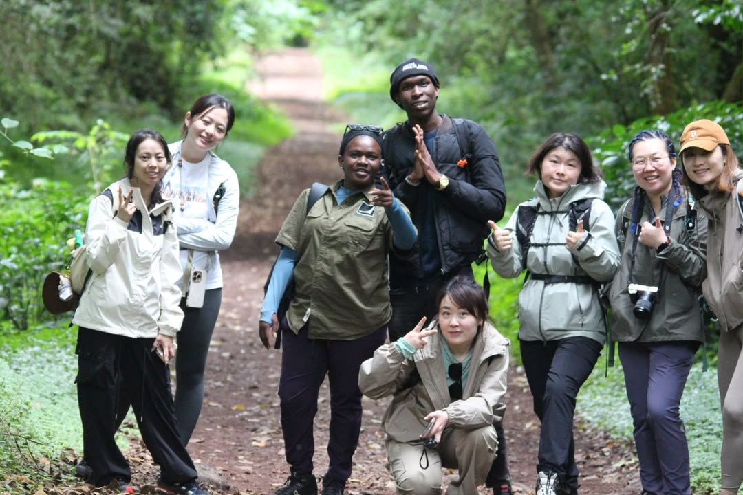 Guests and guides together on a green forest track