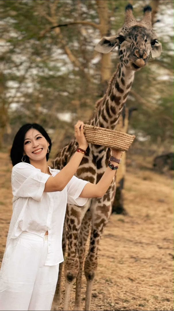 Guest hand-feeding a giraffe from a woven basket