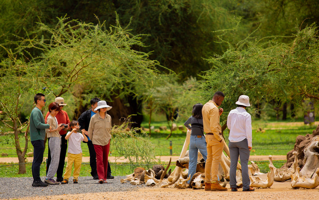 Guests gathered at a shaded picnic stop
