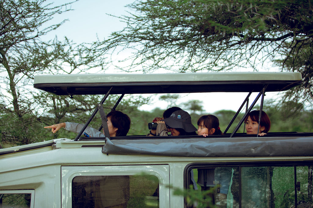 Guests watching and photographing from the open roof hatch