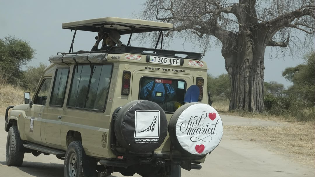 Honeymoon safari vehicle with a Just Married wheel cover beside a baobab tree