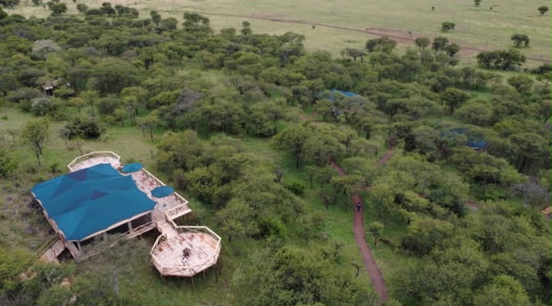 Aerial view of a lodge deck set among dense bush