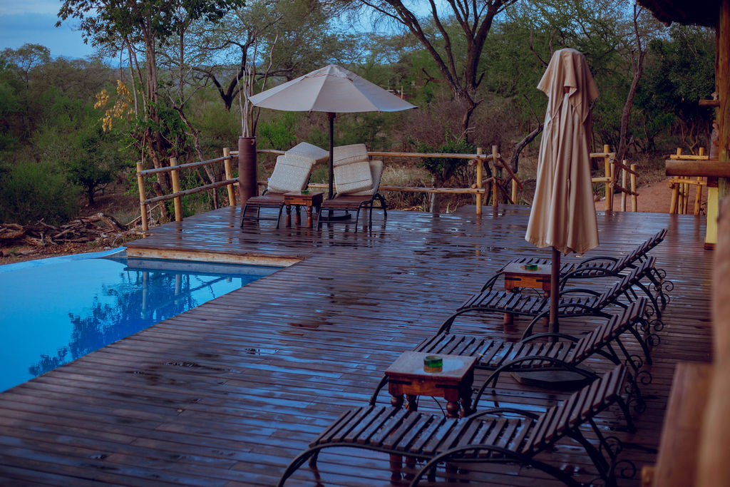 Lodge pool deck with sun loungers and parasols overlooking the bush