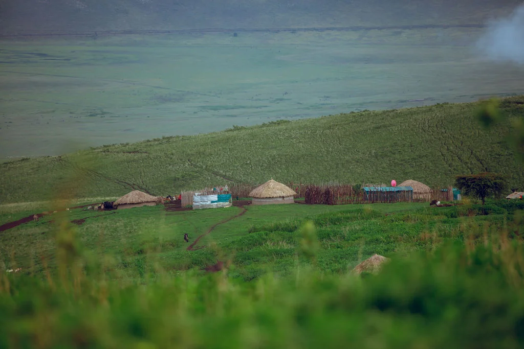 Maasai homestead seen from the high ground above