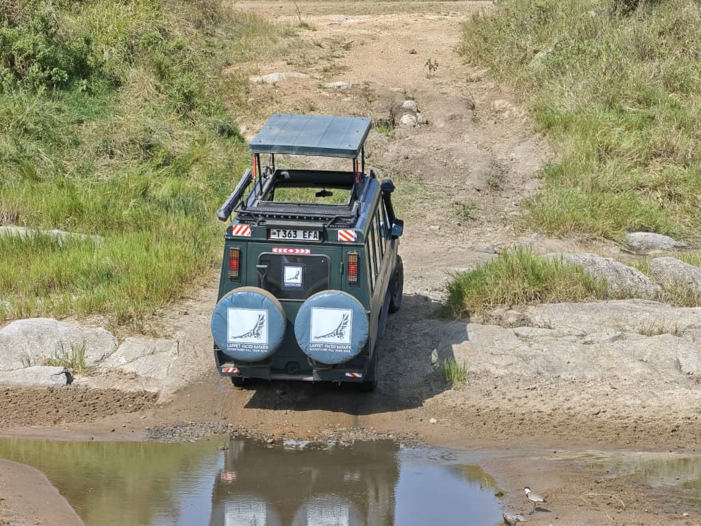 Safari vehicle reflected in a shallow water crossing