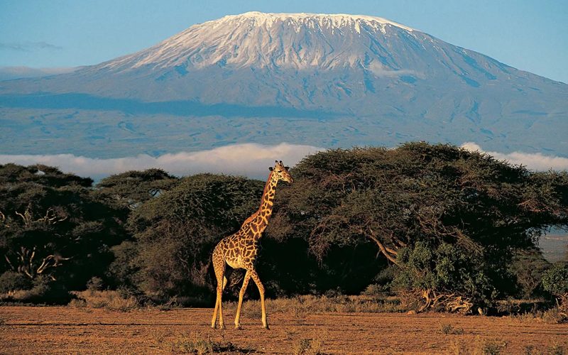 Hiking Trails in Tanzania: Explore Nature