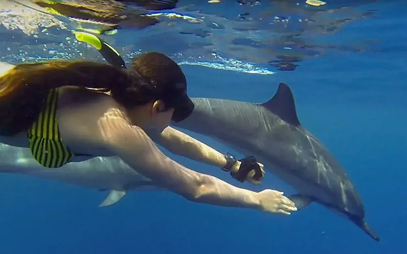 Dolphin Spotting in Zanzibar: New Guidelines for Responsible Tourism