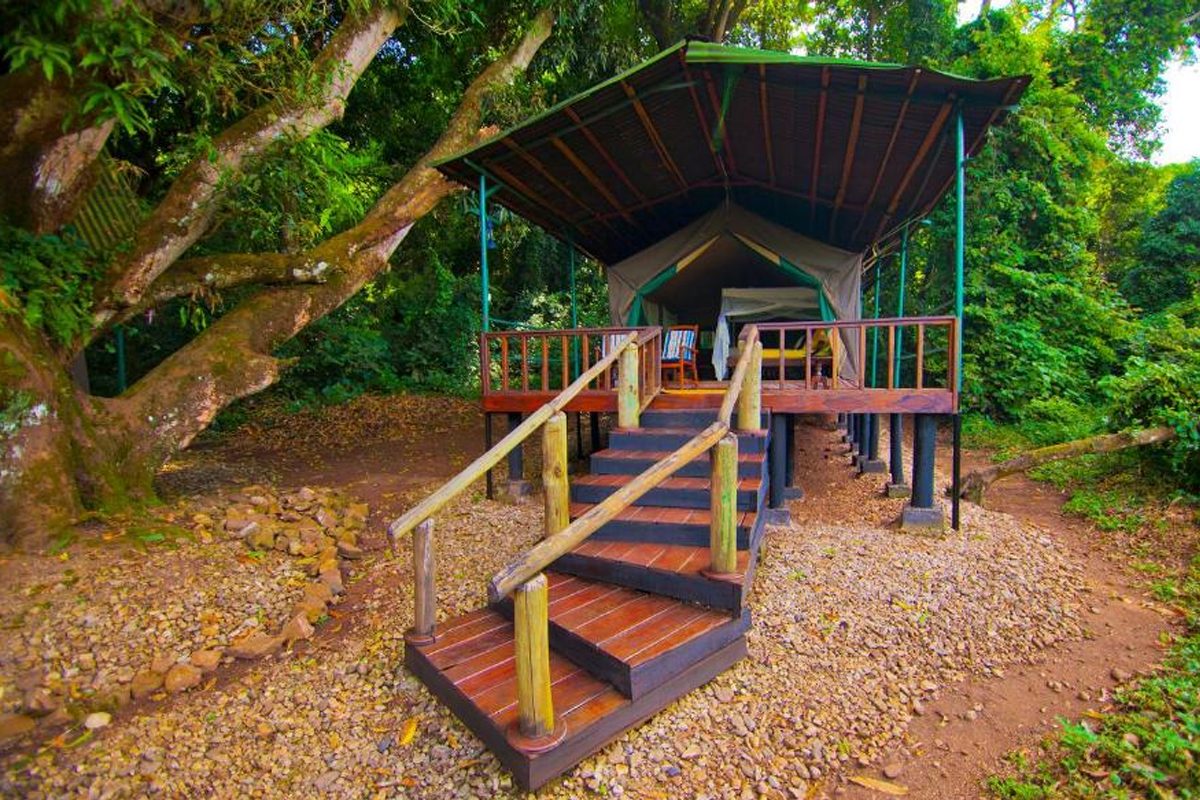 Mbali Mbali Gombe Lodge