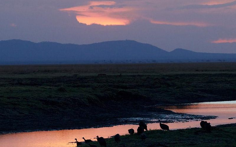 Katavi National Park
