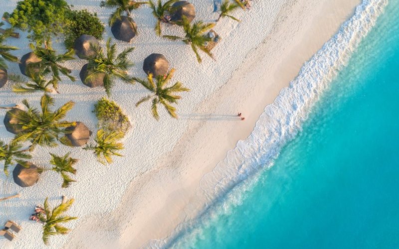 Christmas Snorkeling in Zanzibar: Marine Adventures for the Holidays