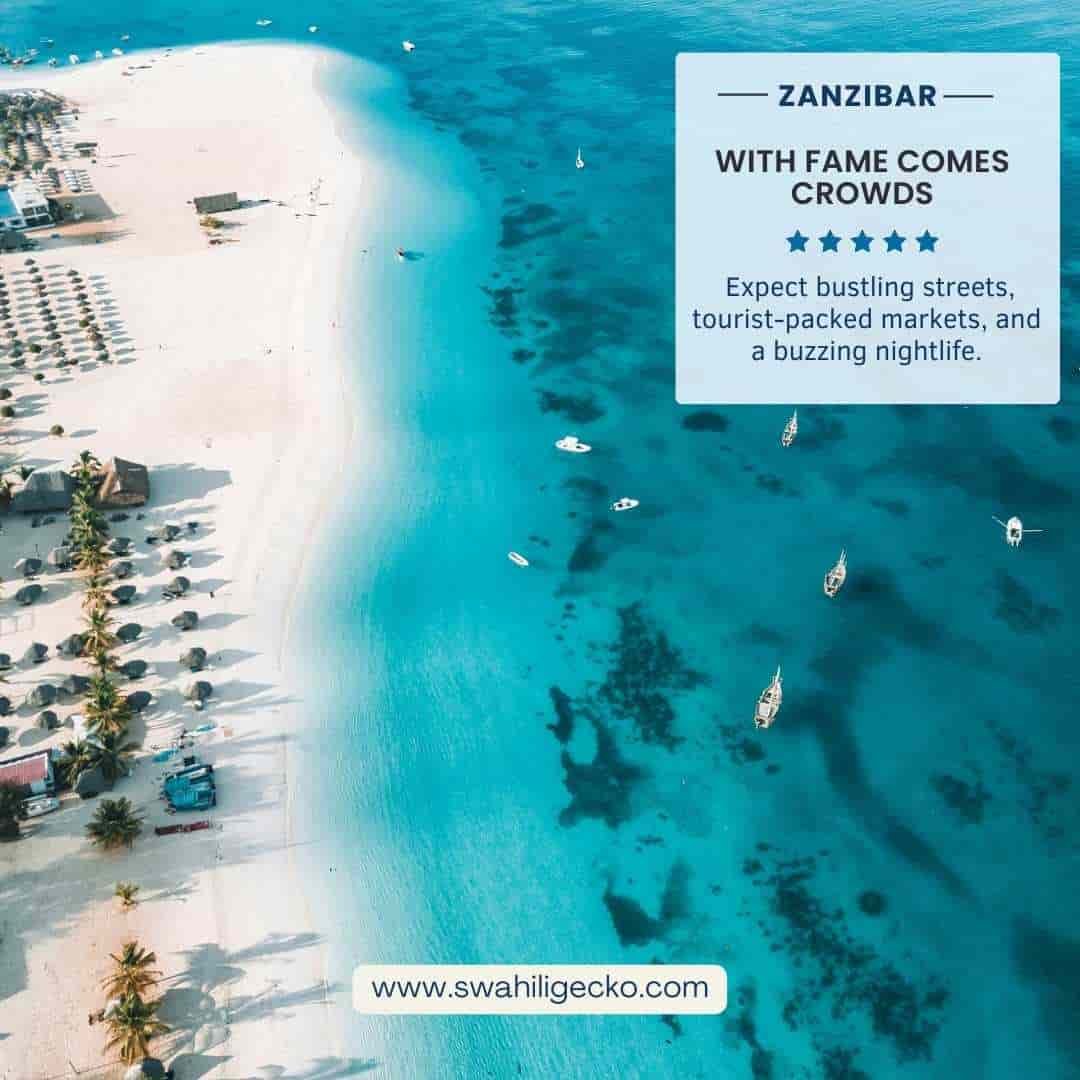 How Common Is Petty Theft In Zanzibar?