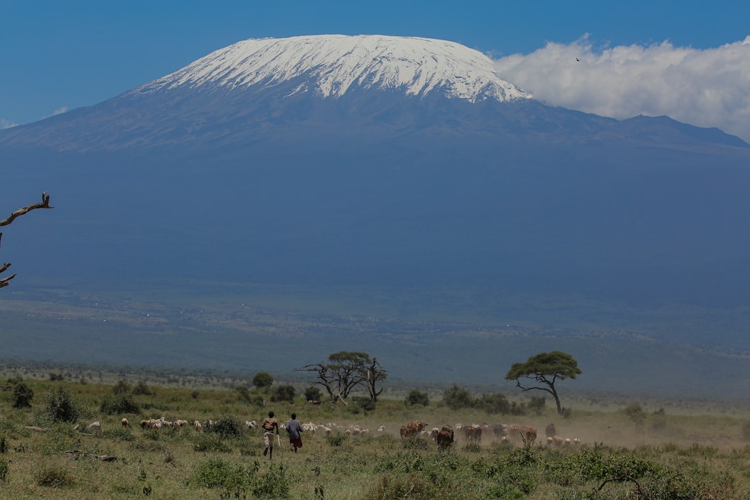 All-Inclusive Vs. Budget Kilimanjaro Tours What’s Included