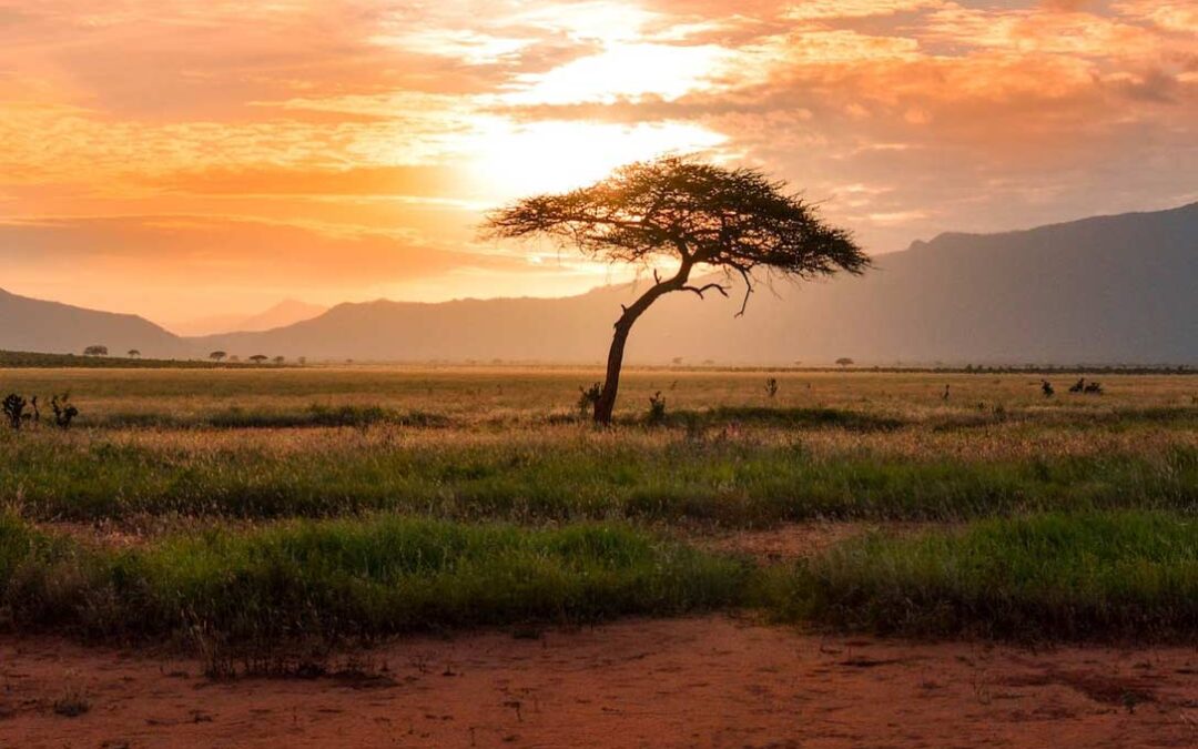 When Can I See Great Migration?