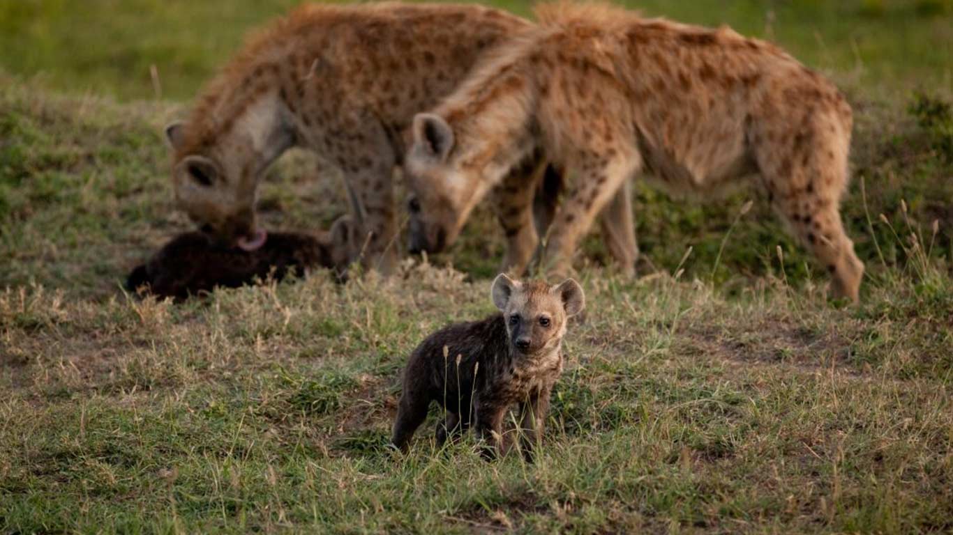 10 Days in northern Tanzania