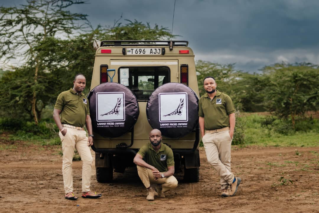 Lappet Faced Safaris