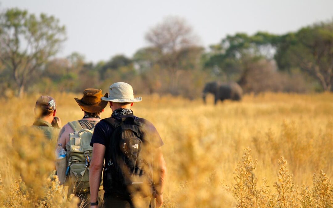 Tanzania Safari Packing Gear List