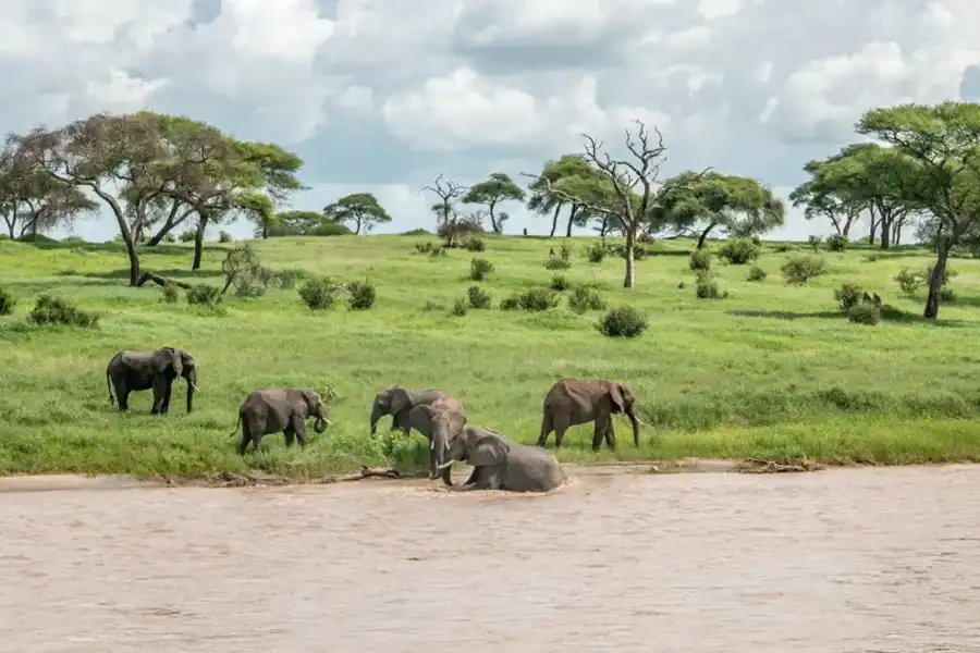 Exploring Tanzania's National Parks in the Wet Season (March - May)