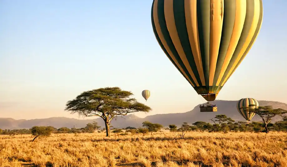 Commencing on a safari adventure in Tanzania is a dream for many travelers.