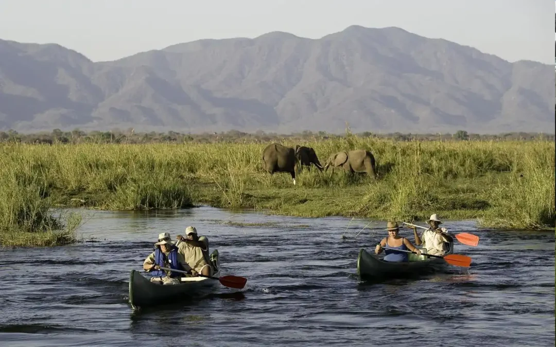 Understanding Tanzania Safari Price Per Day