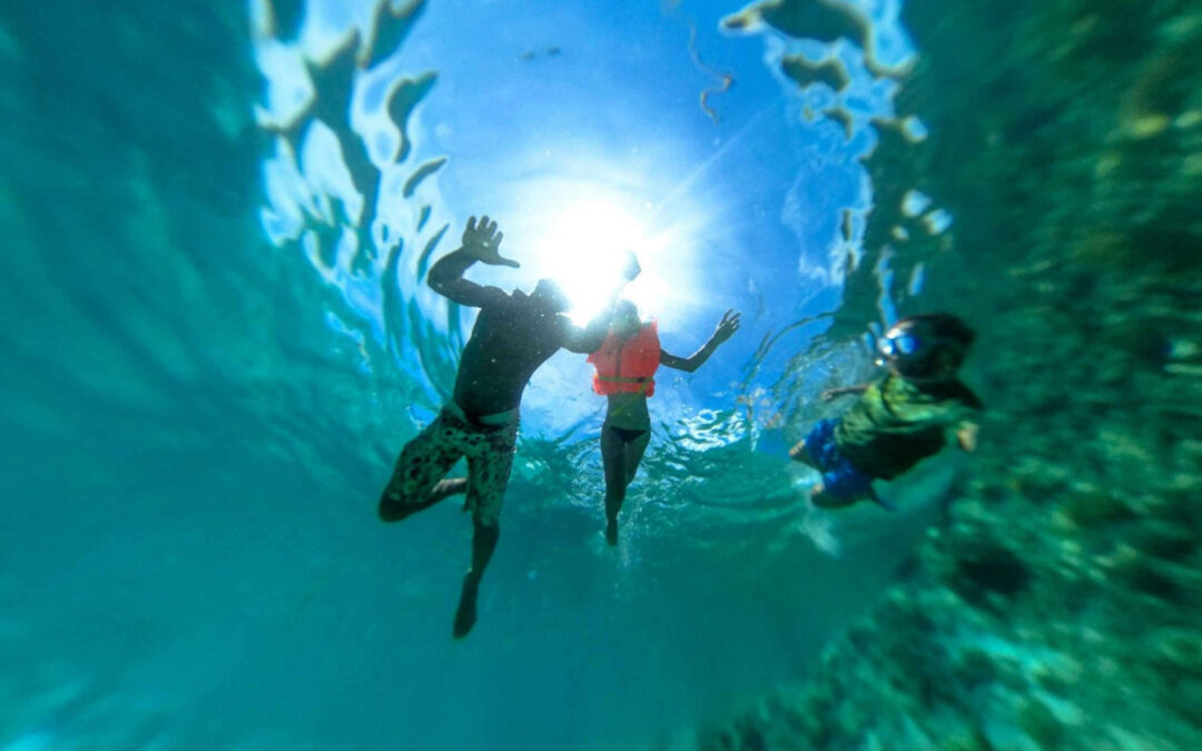 Discover Zanzibar Diving: Explore the Depths