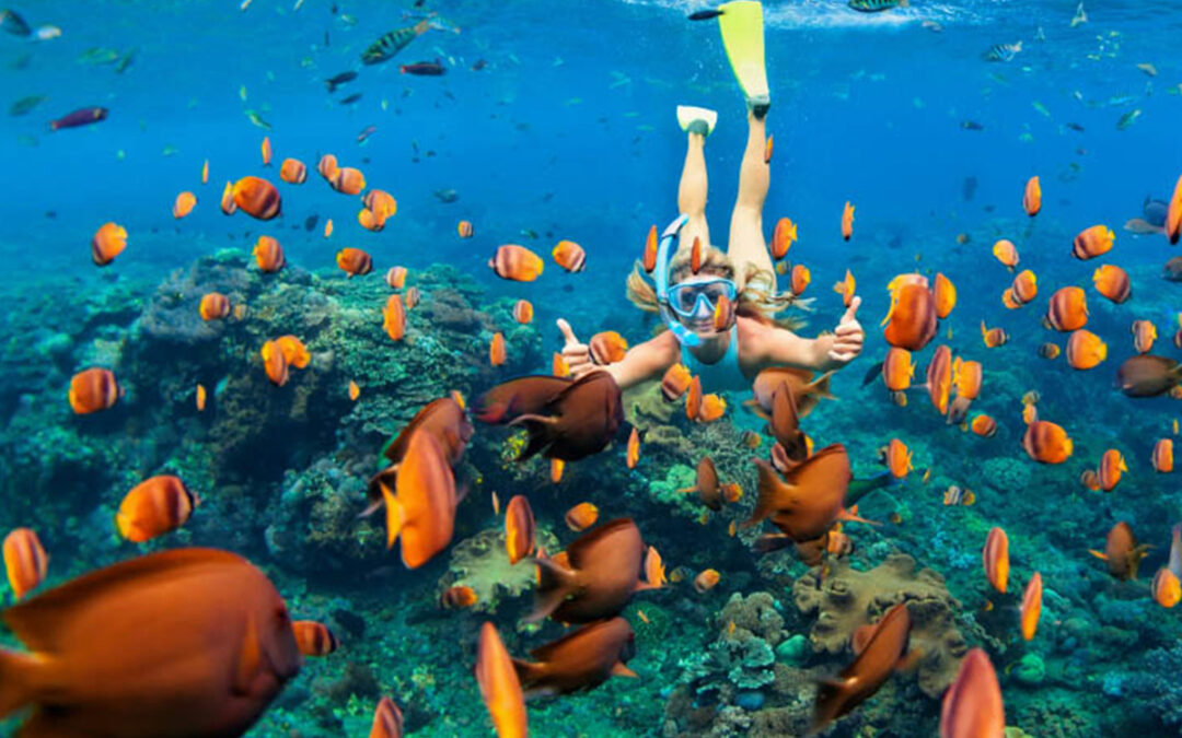 Snorkeling in Zanzibar: Underwater Wonders