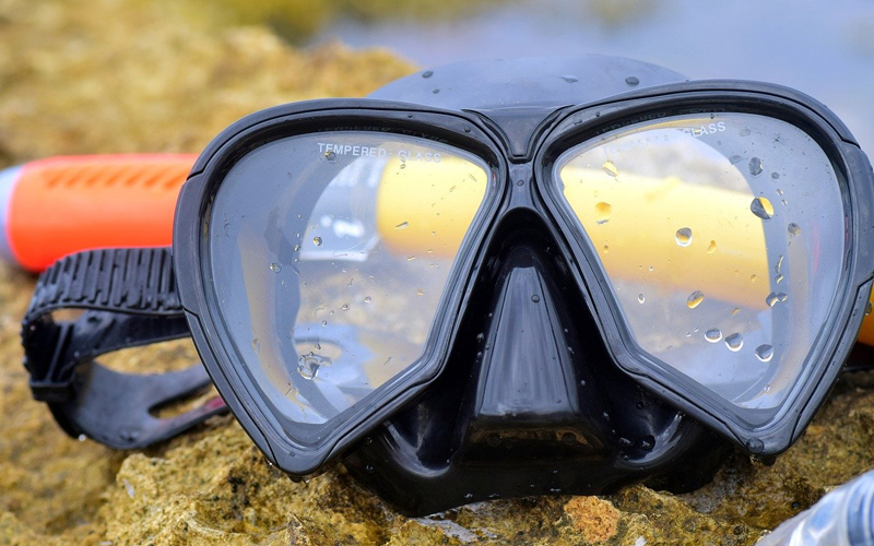 Snorkeling in Zanzibar Underwater Wonders