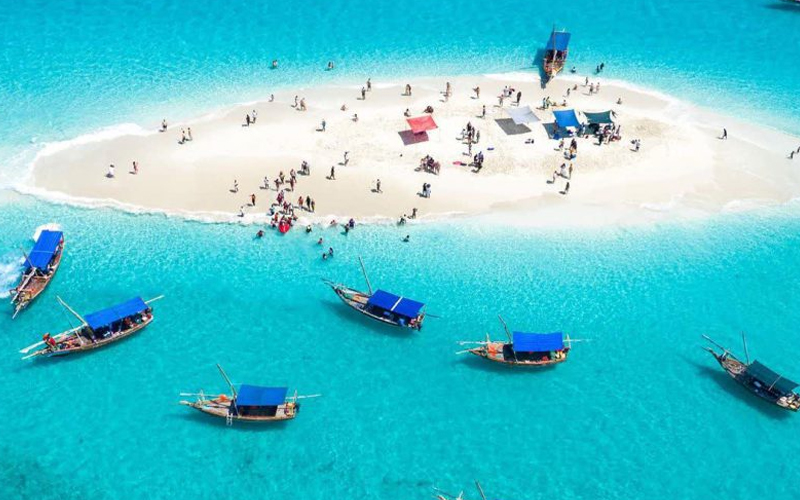 Snorkeling in Zanzibar Underwater Wonders