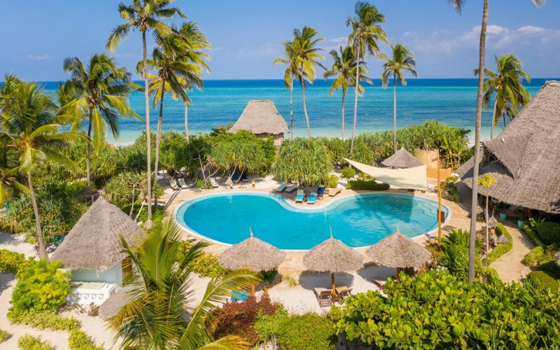 Snorkeling in Zanzibar Underwater Wonders