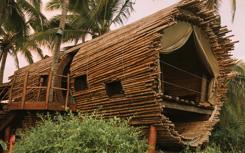 Eco Friendly Stays in Tanzania 1 Africa Safari