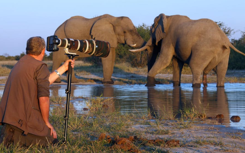 Photography Tips for Your Tanzania Safari