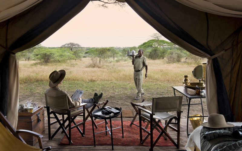 Safari Adventures in Tanzania