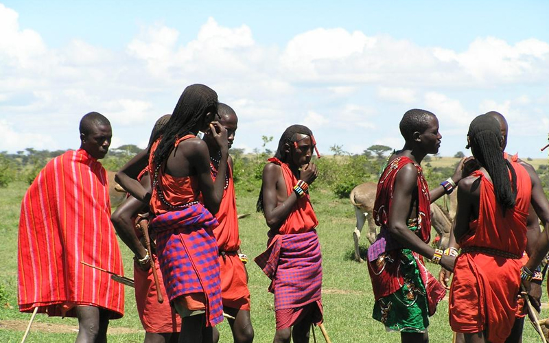 Safari Adventures in Tanzania