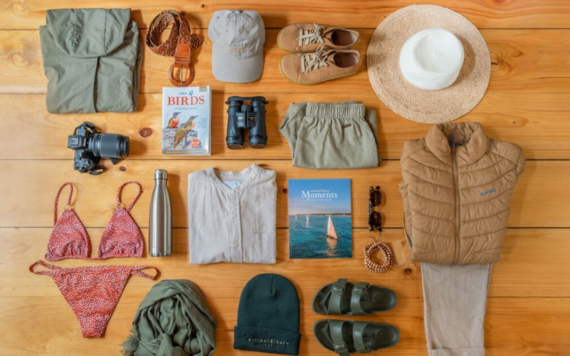 Safari Adventures in Tanzania