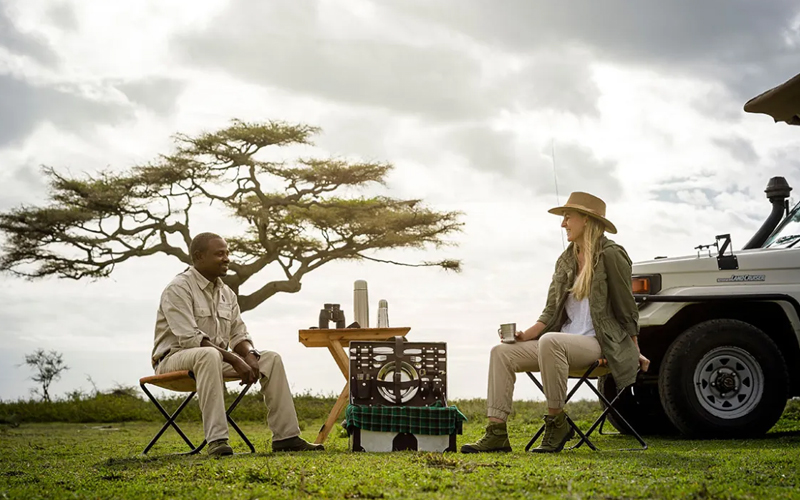 Top All-Inclusive Tanzania Safari Packages