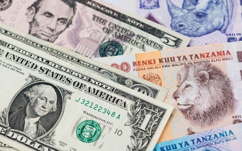 What to Pack for Your Tanzania Safari