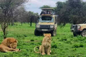PRIVATE SAFARI