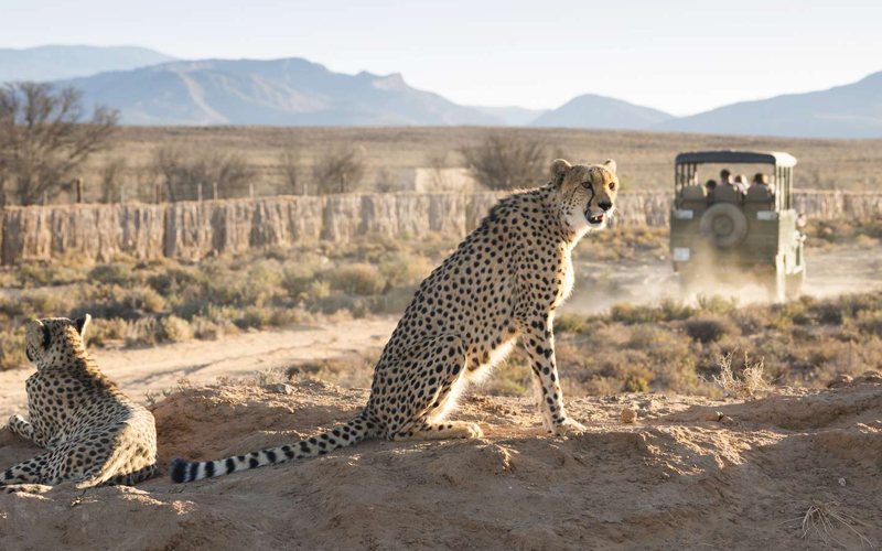 The Importance of Sustainable Tourism in Tanzania