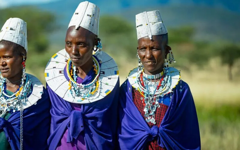 Insider Tips for Your Tanzanian Adventure