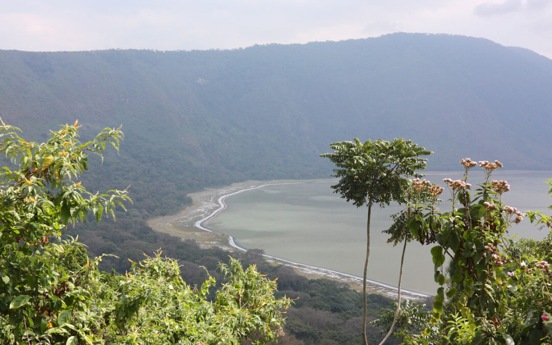 Top Activities in Ngorongoro Crater 2024