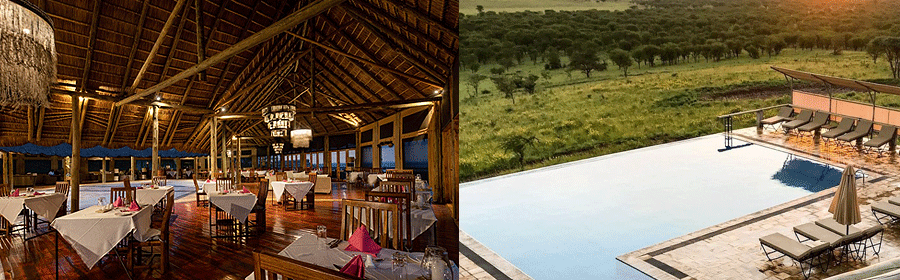 kubu kubu lodge serengeti Africa Safari