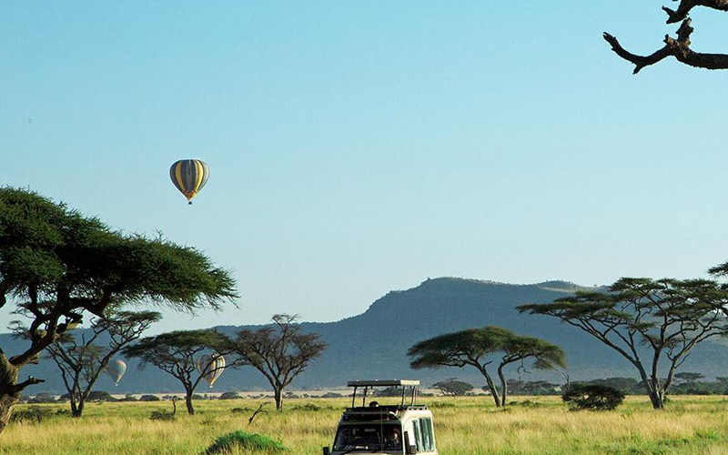 A November Guide to Serengeti National Park Wildlife and Weather