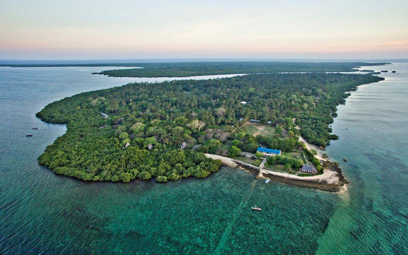 Tanzania’s Marine Life Conservation Efforts Make Headlines in 2024