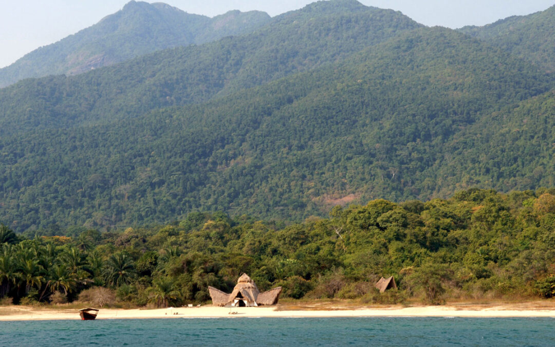 Trekking Tanzania: How New Trails Are Transforming Adventure Travel in 2024