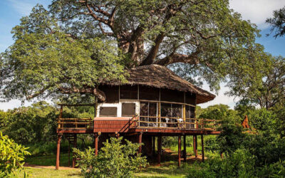 Tarangire Treetops Lodge