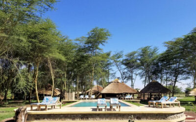 Africa Safari Lake Manyara