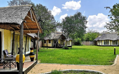 Africa Safari Selous