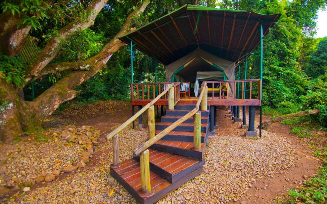 Mbali Mbali Gombe Lodge