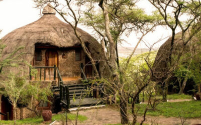 Mikumi Safari Cottages